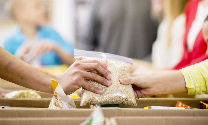 Save our Food
