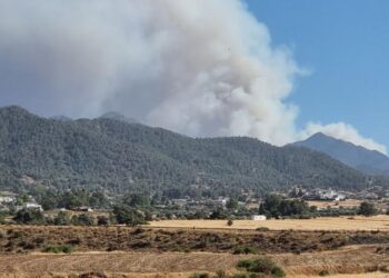 Πτητικά μέσα από το Ισραήλ και την ΕΕ ζήτησε η Κύπρος λόγω των πυρκαγιών