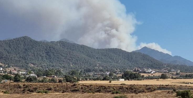 Πτητικά μέσα από το Ισραήλ και την ΕΕ ζήτησε η Κύπρος λόγω των πυρκαγιών