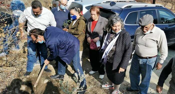 Επιτροπή Κατεχόμενων Δήμων