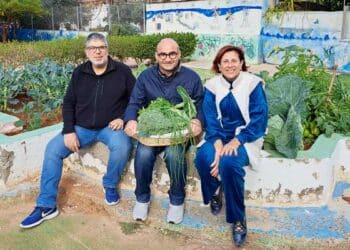 Παραγωγή Βιολογικών λαχανικών στους λαχανόκηπους των Δημοτικών Σχολείων Δερύνειας