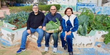Παραγωγή Βιολογικών λαχανικών στους λαχανόκηπους των Δημοτικών Σχολείων Δερύνειας