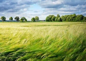 ισχυρούς ανέμους