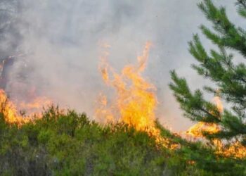 αντιμετώπιση πυρκαγιών