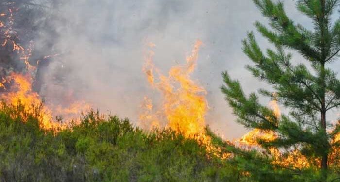 αντιμετώπιση πυρκαγιών