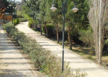 αδέσποτων σκύλων