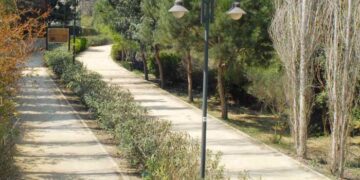 αδέσποτων σκύλων
