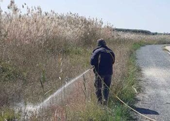 Συνεχίζονται οι ψεκασμοί κατά των κουνουπιών στη Λάρνακα