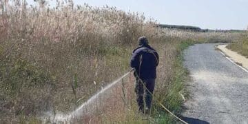 Συνεχίζονται οι ψεκασμοί κατά των κουνουπιών στη Λάρνακα