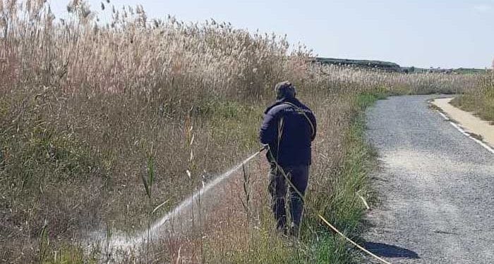 Συνεχίζονται οι ψεκασμοί κατά των κουνουπιών στη Λάρνακα