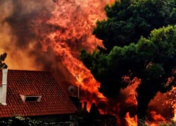 φαρμακευτικά είδη