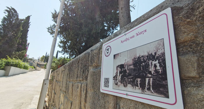 Αγλαντζιά