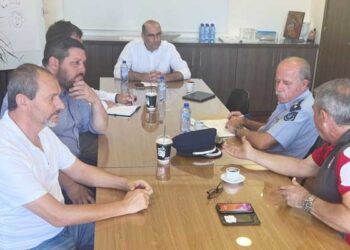 αστυνόμευσης