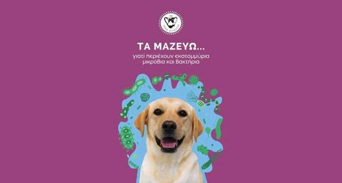 καμπάνια