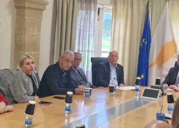 Δήμου Μόρφου