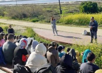 Δήμος Λάρνακας