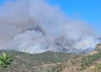 Πυρκαγιά στον Φαρμακά