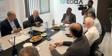 ΕΟΑ Λάρνακας
