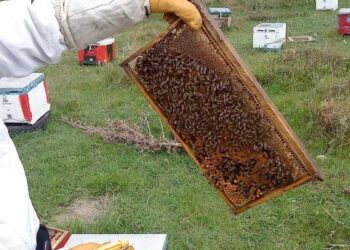 Έκτακτη βοήθεια