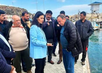 αγροτικό πετρέλαιο