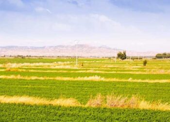 Έκτακτη οικονομική στήριξη