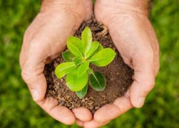 Δεντροφύτευση στον Άγιο Αθανάσιο