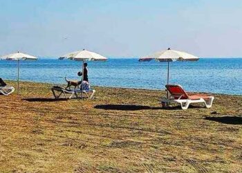 Άνοιξε η παραλία σκύλων στην περιοχή Κασσιανές (Spyros Beach)