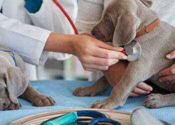 Παράρτημα Κτηνιατρικής Σχολής του Παν. Θεσσαλίας στην Αθηαίνου