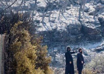 καταγραφή ζημιών