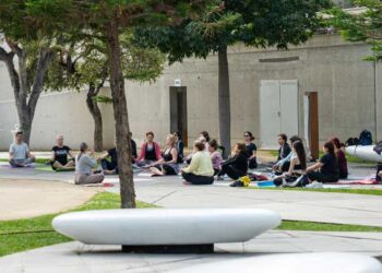 μαθήματα Yoga