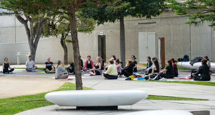 μαθήματα Yoga