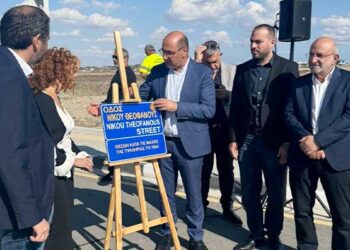 Νίκου Θεοφάνους Λοϊζου