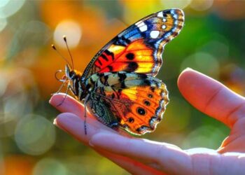 ψυχικό τραύμα