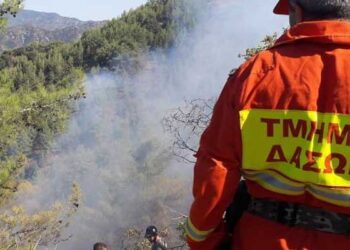 δασικές πυρκαγιές