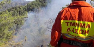 δασικές πυρκαγιές