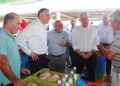 Σενέκης